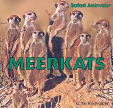 Meekrats - Book  of the Safari Animals