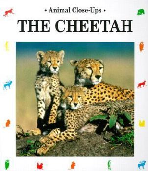 The Cheetah - Book  of the Animal Close-Ups