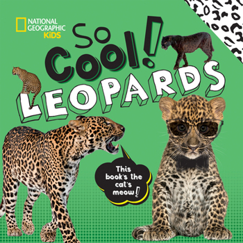 Hardcover So Cool! Leopards Book