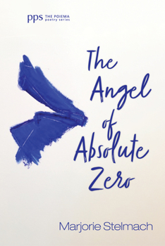Paperback The Angel of Absolute Zero Book