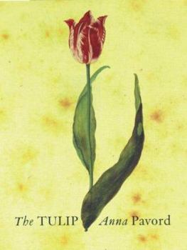 Hardcover The Tulip Book