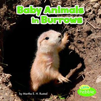 Paperback Baby Animals in Burrows Book