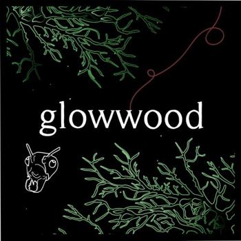 The Glowwood Box Set: The 78-Card Glowwood Oracle Deck and Glowwood Companion Guidebook