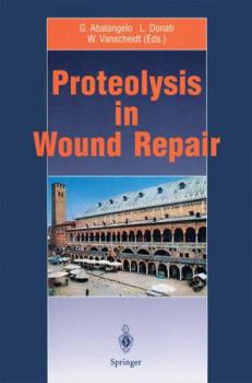 Paperback Proteolysis in Wound Repair Book