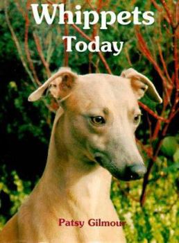 Hardcover Whippets Today Book