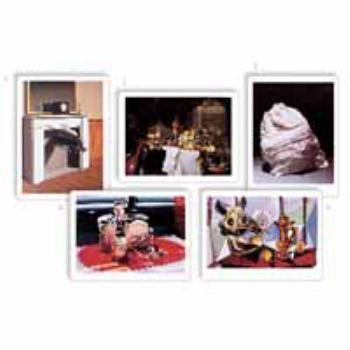 Hardcover Still Lifes Book