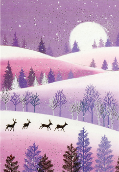 Misc. Silent Snowfall Small Boxed Holiday Cards Book