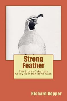 Strong Feather: The Story of the Last Covey in Indian Bend Wash