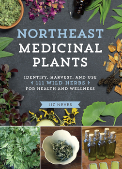 Paperback Northeast Medicinal Plants: Identify, Harvest, and Use 111 Wild Herbs for Health and Wellness Book