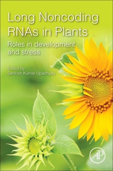 Paperback Long Noncoding Rnas in Plants: Roles in Development and Stress Book