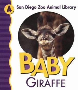 Board book Baby Giraffe Book