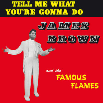 Vinyl Tell Me What You're Gonna Do Book
