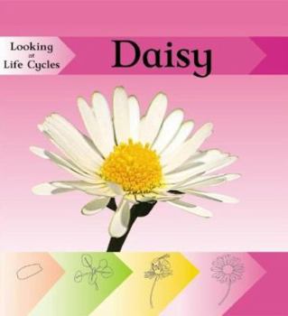 Library Binding Daisy Book