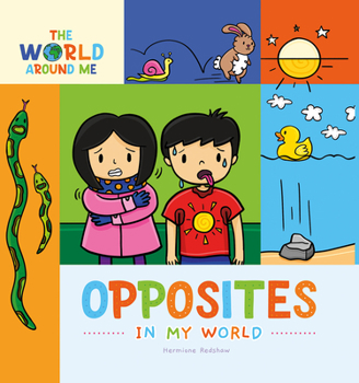 Paperback Opposites in My World Book