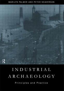 Paperback Industrial Archaeology: Principles and Practice Book