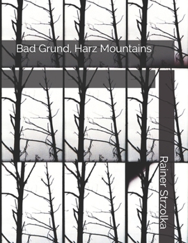 Paperback Bad Grund, Harz Mountains Book