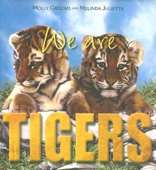 Board book We Are Tigers Book