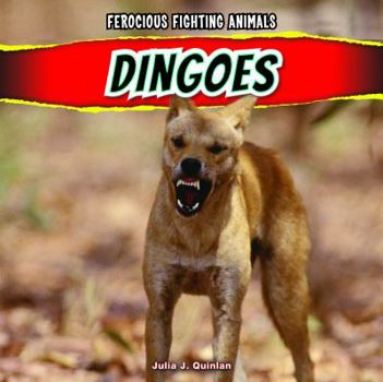 Library Binding Dingoes Book