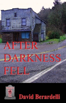 Paperback After Darkness Fell Book