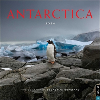 Calendar Antarctica 2024 Wall Calendar Book