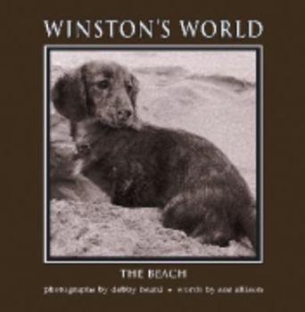 Paperback Wintson's World: The Beach Book