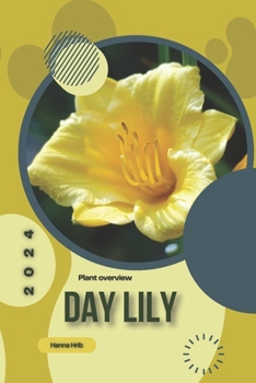 Paperback Day Lily: Simply beginners guide Book