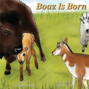 Paperback Boaz Is Born Book