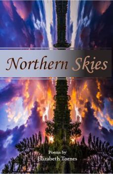 Paperback Northern Skies Book