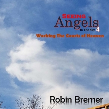 Paperback Seeing Angels in the Sky 4: Working the Courts of Heaven Book