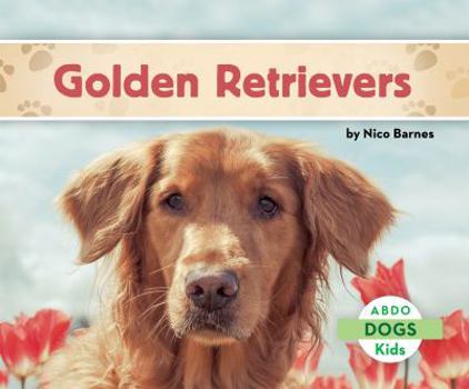 Library Binding Golden Retrievers Book