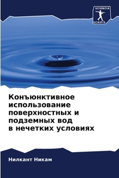 Paperback Конъюнктивное использо&# [Russian] Book