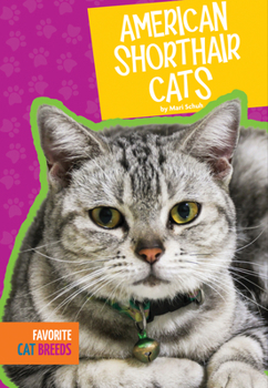 Paperback American Shorthair Cats Book