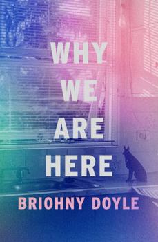 Paperback Why We Are Here Book