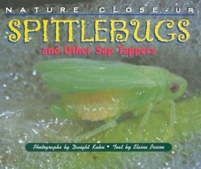 Library Binding Spittlebugs and Other Sap Tappers Book