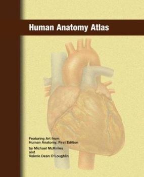 Spiral-bound Human Anatomy Atlas Book