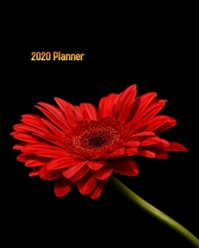 Paperback 2020 Planner: Best Weekly and Monthly planner Jan 1, 2020 2021 to Dec 31, 2020 2021 - Include Weekly & Monthly Planner + Calendar an Book