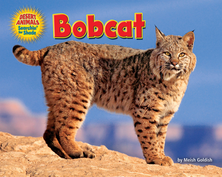 Bobcat - Book  of the Desert Animals Searchin' for Shade