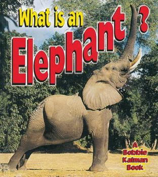 Hardcover What Is an Elephant? Book