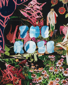 Hardcover The Rose: A Circular Genealogy of Collage: Curated by Justine Kurland Book