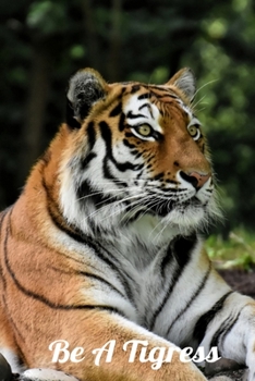 Be A Tigress: Cat Lovers Journal - A journal to record all of the amazing things that happen in your life 6 x 9 100 pages