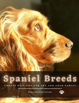 Spaniel Breeds: Choose Best dog for you and your family