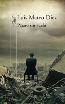 Hardcover Paajaro Sin Vuelo [Spanish] Book