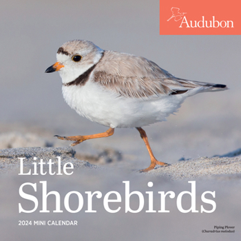 Calendar Audubon Little Shorebirds Mini Wall Calendar 2024: A Tribute to the Diversity of Shorebirds and the Fragile Ecosystems They Inhabit Book