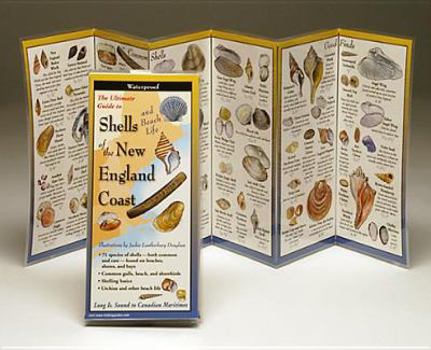 Pamphlet Shells of the New England Coast: Long Is. Sound to Canadian Maritimes Book