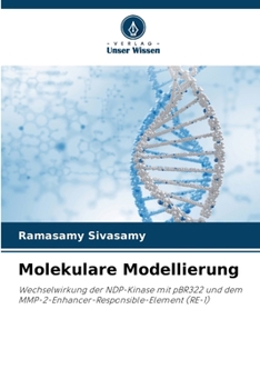 Paperback Molekulare Modellierung [German] Book