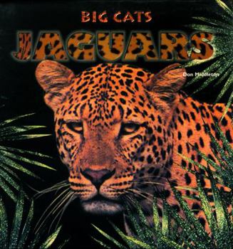 Hardcover Jaguars Book