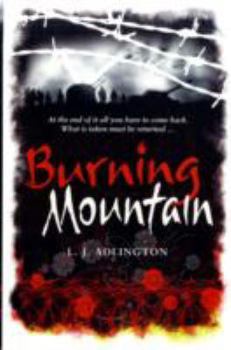 Burning Mountain - Book #4 of the City Five