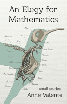 Paperback An Elegy for Mathematics Book