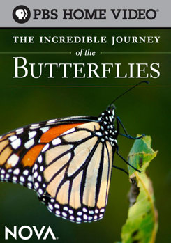 DVD Nova: The Incredible Journey of the Butterflies Book
