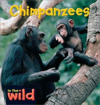 Hardcover Chimpanzees Book
